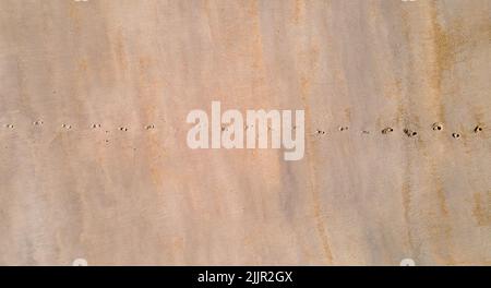 Eine Luftaufnahme einer Reihe von Fußabdrücken an einem Sandstrand Stockfoto