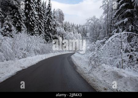 Rechts biegende Asphaltstraße durch den verschneiten Bayerischen Wald, Deutschland, Europa Stockfoto