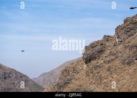 Eine Aufnahme von Vögeln, die über das Atlasgebirge gegen den blauen Himmel fliegen Stockfoto