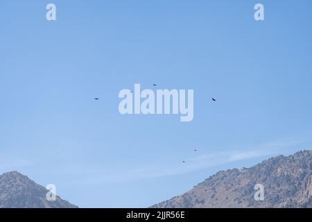 Eine Aufnahme von Vögeln, die über das Atlasgebirge gegen den blauen Himmel fliegen Stockfoto