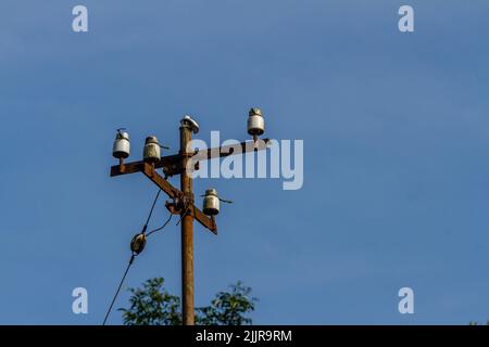 Ein alter Strommast, der Hochspannungsleitungen unterstützt, klarer Himmel Stockfoto