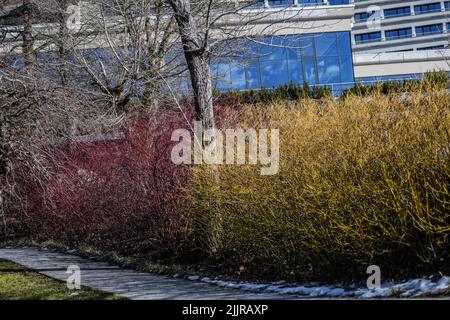 Winterfarben am Eingang des Hotel Jama, in Postojna. Slowenien Stockfoto