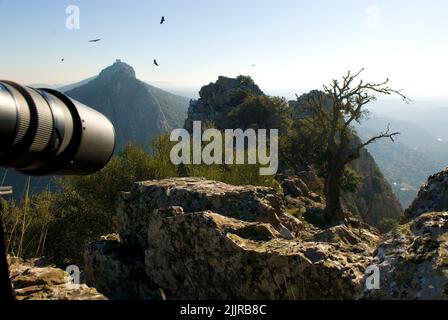 Eine schöne Aussicht auf das Schloss von Monfrague im Monfrague NP, Extremadura, Spanien Stockfoto