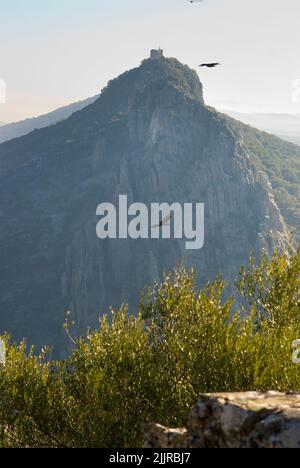 Eine vertikale Aufnahme des Schlosses von Monfrague im Nationalpark Monfrague, Extremadura, Spanien Stockfoto