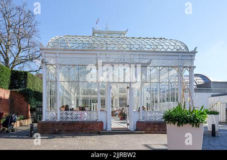 Ein viktorianischer Wintergarten auf dem Gelände des Horniman Museum and Gardens in Forest Hill, London Stockfoto