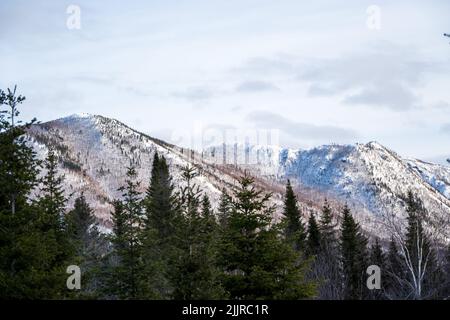 Ein immergrüner Kiefernwald am Berghang, schneebedeckte Berge unter Sonnenlicht und bewölktem Himmel Stockfoto