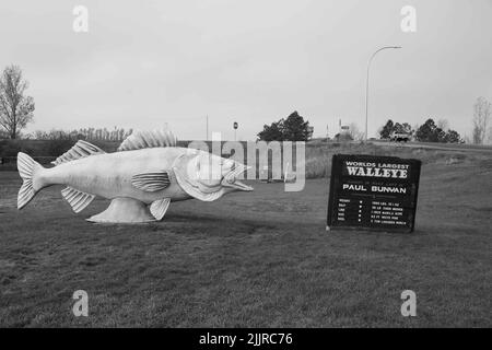 Die Fischskulptur, die dem größten Zander der Welt gewidmet ist, der von Paul Bunyan gefangen wurde Stockfoto