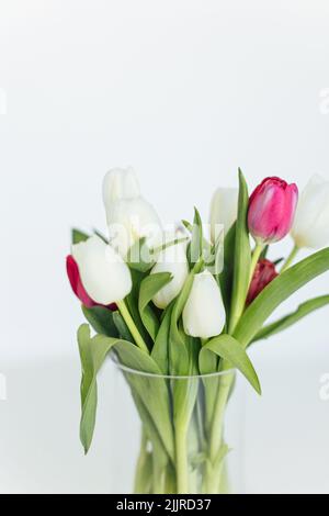 Eine Vertikale aus rosa und weißen Tulpen in einer Glasvase auf verschwommenem weißem Hintergrund Stockfoto
