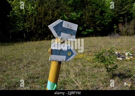 Eine Säule mit zwei blauen Pfeilen, die zwei Richtungen auf dem Feld mit grünen Bäumen zeigen Stockfoto