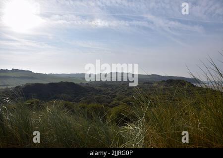 Eine malerische Aussicht auf die Pyrenäen mit grünen Wäldern in Frankreich Stockfoto