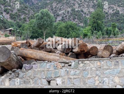 Schwere Holzstämme oder Holzstämme in einem Holzstapel Stockfoto