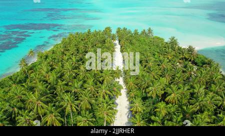 Eine Drohnenaufnahme einer unberührten tropischen Insel mit Palmen Stockfoto