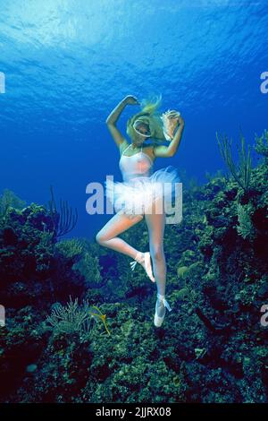 Model-Fotografie, Balletttänzerin (Frau) mit einer Muschel in einem karibischen Korallenriff, Isla de Juventud, Kuba, Karibik Stockfoto