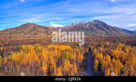 Eine Luftaufnahme des Matanuska-Flusses, umgeben von Herbstbäumen und Bergen in Palmer, Alaska Stockfoto