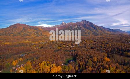 Eine Luftaufnahme des Matanuska-Flusses, umgeben von Herbstbäumen und Bergen in Palmer, Alaska Stockfoto