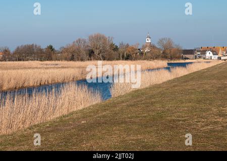 Eine Landschaft von De Cocksdorp Dorf Stadt auf Texel Insel, Niederlande Stockfoto