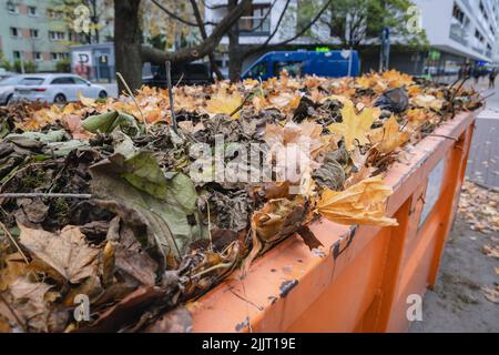 Großer Metallbehälter für Herbstblätter in Warschau, der Hauptstadt Polens Stockfoto