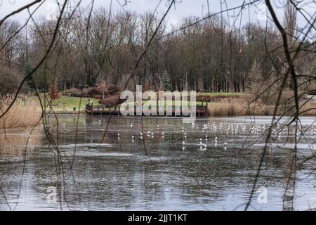 Tongrubenteich im Szczesliwicki Park im Stadtteil Ochota in Warschau, der Hauptstadt Polens Stockfoto