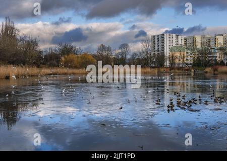 Tongrubenteich im Szczesliwicki Park im Stadtteil Ochota in Warschau, der Hauptstadt Polens Stockfoto