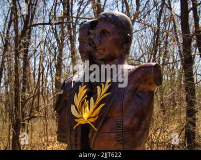 Nahaufnahme einer Bronzeskulptur eines halbgedrehten Mannes im Overland Park Arboretum, Kansas, USA Stockfoto