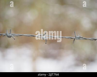 Ein flacher Fokus eines metallischen Stacheldrahtzauens auf einem verschwommenen Hintergrund Stockfoto