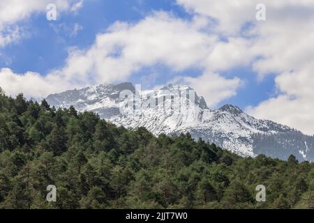 Dichten Fichtenwald und Gipfel der alpinen Berge bedeckt mit Schnee und Gletschern im Frühjahr, Trentino, Italien Stockfoto