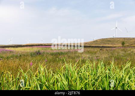 Erneuerbare Stromerzeugung durch Windkraftanlagen auf Scout Moor in Lancashire Manchester, zwischen Rochdale und Edenfield, England, Großbritannien Stockfoto