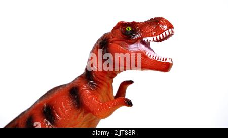 Ein kreischender roter Dinosaurier, isoliert auf weißem Hintergrund Stockfoto