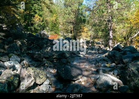 Bergwald mit Steinen im Herbst. Bergstraße im Wald. Reise durch die Svaneti-Wälder. Wunderschöne Berglandschaft. Stockfoto