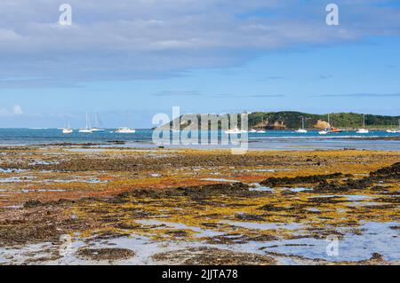 Ebbe am Dodds Creek Beach - Flinders, Victoria, Australien Stockfoto