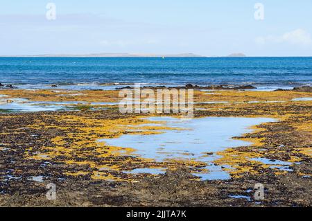 Ebbe am Dodds Creek Beach - Flinders, Victoria, Australien Stockfoto