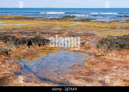 Ebbe am Dodds Creek Beach - Flinders, Victoria, Australien Stockfoto