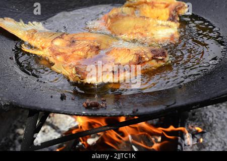 Frittierte Karpfenfische in einer Pfanne. Stockfoto