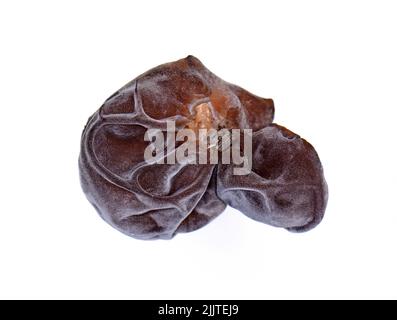 Juden Ohr (Holzohr, Auricularia auricula, Hirneola polytricha, Geleeohr, Peao, Judas' Ohr), isoliert auf Weiß. Stockfoto