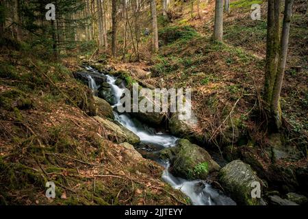 Ein kleiner Wasserfall in den moosigen Felsen im Wald Stockfoto