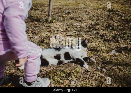 Eine Nahaufnahme einer schwarz-weißen Katze, die auf dem Boden liegt und ein Kind daneben ansieht Stockfoto