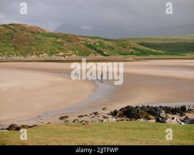 Sommerhundespaziergängen am Achnahaard Beach in der Nähe von Achiltibuie in Ross und Cromarty, Highland, an der Coigach-Küste im Nordwesten Schottlands Stockfoto