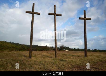 Ein niedriger Winkel von drei hölzernen Kreuzen im Feld vor blauem Himmel Hintergrund Stockfoto