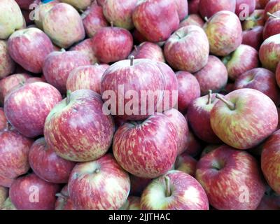 Frischer gesunder roter Apfel auf Obstladen gelegt Stockfoto