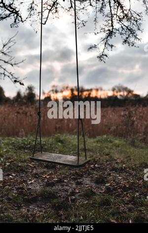 Eine alte verlassene Holzschaukel im Wald Stockfoto