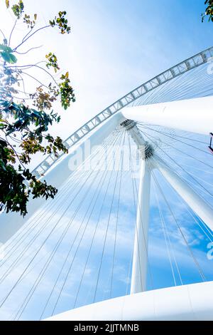 Eine vertikale Low-Angle-Aufnahme des Ain Dubai Riesenrads gegen einen blauen Himmel in Bluewaters Island, Dubai, Vereinigte Arabische Emirate Stockfoto