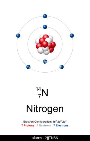 Stickstoff, Atom-Modell. Chemisches Element mit dem Symbol N und der Ordnungszahl 7. Bohr-Modell von Stickstoff-14. Stockfoto