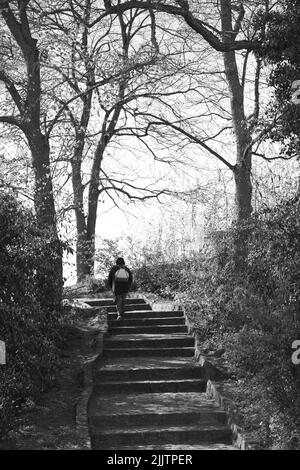 Eine vertikale Aufnahme einer jungen Frau, die im Wald von Luxemburg spazierengeht Stockfoto