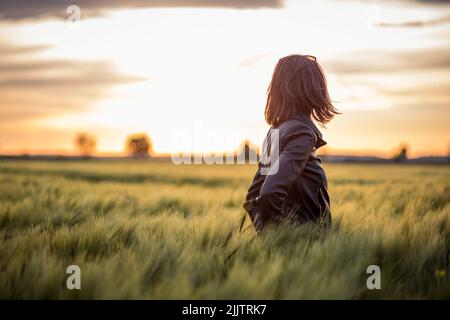 Ein Back-Shot-Porträt einer jungen Frau, die bei Sonnenuntergang zwischen langem grünen Gras auf dem Feld gegen den Abendhimmel steht Stockfoto