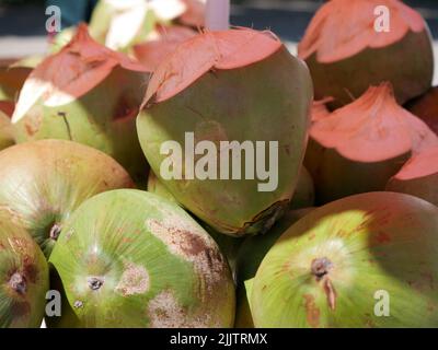 Nahaufnahme von Kokosnüssen, die auf einem Marktstand zum Verkauf stehen Stockfoto