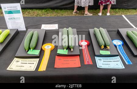 Die Gemüseshow auf der New Forest und Hampshire County Show im Juli 2022, England, Großbritannien. Gurken auf dem Display. Stockfoto