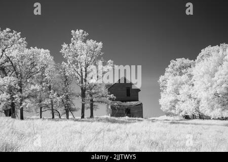 Ein hölzernes Bauernhaus in einem Feld zwischen Bäumen in schwarz und weiß. Manitoba, Kanada Stockfoto