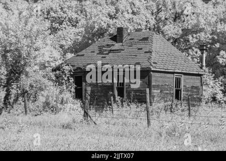 Ein hölzernes Bauernhaus in einem Feld zwischen Bäumen in schwarz und weiß. Manitoba, Kanada Stockfoto