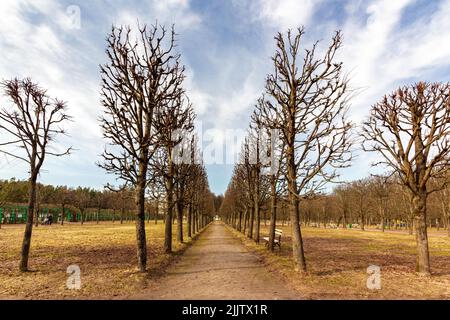 Eine schöne Aussicht auf Bosquets im Frühjahr, State Museum-Estate Archangelskoye Stockfoto