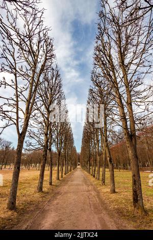 Eine schöne Aussicht auf Bosquets im Frühjahr, State Museum-Estate Archangelskoye Stockfoto